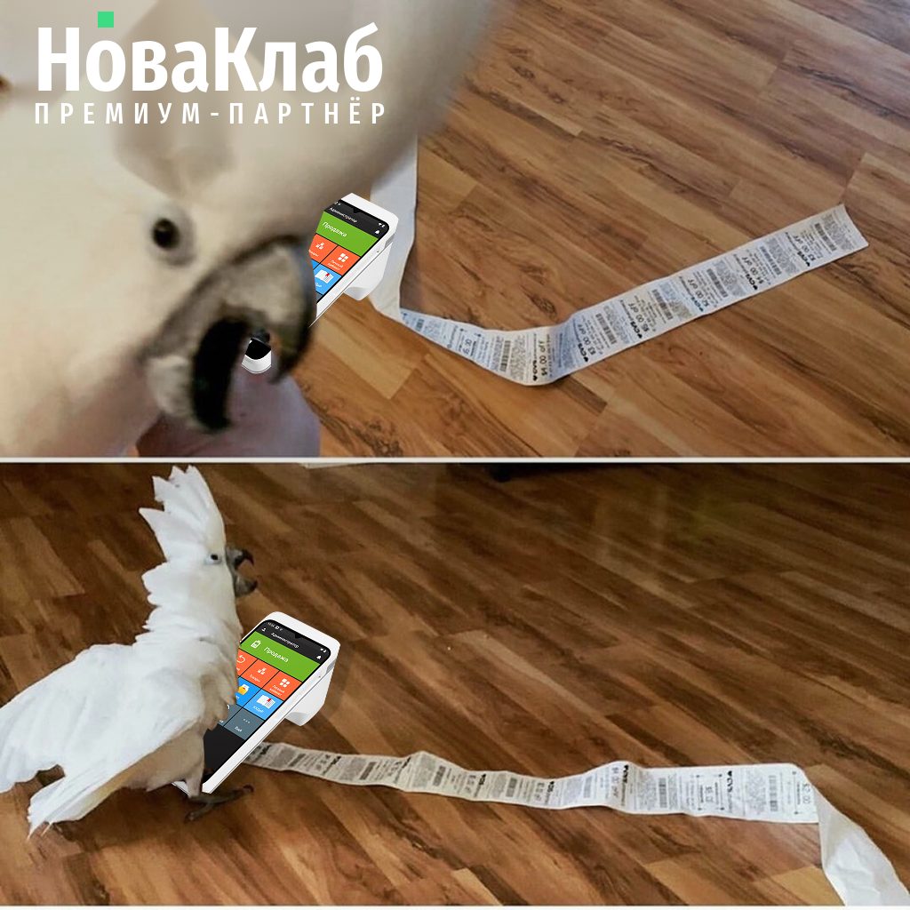 Рекламный баннер НоваКлаб для РСЯ, формат 1:1